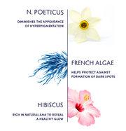 Naturopathica N. Poeticus & French Algae Brightening Essence